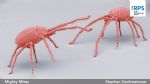 Siemens� Curiosity Project